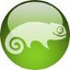 suse_logo.png