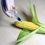 genetics2.jpg genetics2.jpg