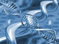 genetics.jpg genetics.jpg