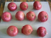 Big_Red_Onions.49164458_473_355.jpg