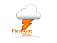 flashgot.net2_.png