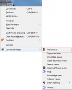 DownloadHelperSelectPref.png
