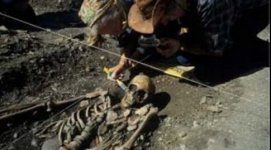 skeletos.jpg skeletos.jpg