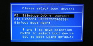 8bios.jpg 8bios.jpg