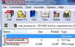 files4.jpg files4.jpg