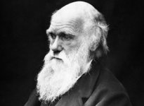 Charles_Darwin.jpg Charles_Darwin.jpg