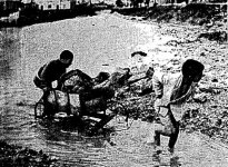 Athina_neroponti_6-11-1961.jpg Athina_neroponti_6-11-1961.jpg