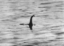 Loch_Ness_Monster.jpg Loch_Ness_Monster.jpg