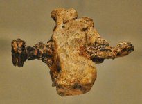 crucified-skeleton.jpg crucified-skeleton.jpg