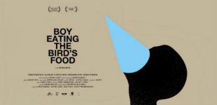 boy-eating-the-birds-food-01.jpg