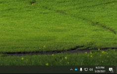 awake1.gif awake1.gif