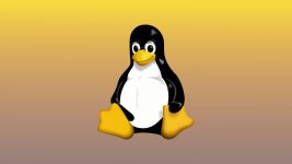 linux-story.jpg