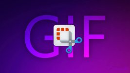 gif.jpg gif.jpg