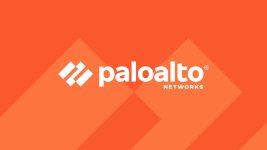 palo.jpg