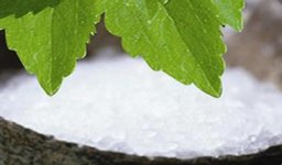 stevia !!.jpg stevia !!.jpg
