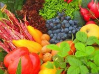 vegetables_473_355.jpg vegetables_473_355.jpg