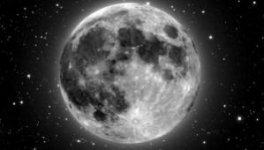 large_30605.jpg large_30605.jpg