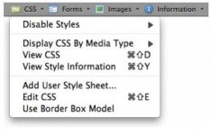 web_developer.jpg web_developer.jpg