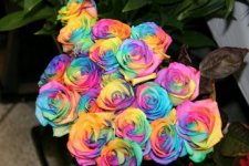 rainbow-rose-3.jpg rainbow-rose-3.jpg