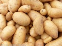 patates.jpg