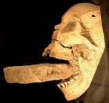 vampir1.jpg vampir1.jpg