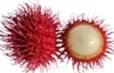 Rambutans.jpg Rambutans.jpg