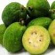 Feijoas.jpg Feijoas.jpg