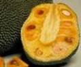Jackfruit.jpg Jackfruit.jpg