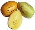 Pepinos.jpg Pepinos.jpg