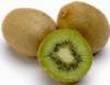 Kiwifruit.jpg Kiwifruit.jpg