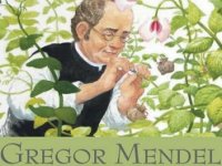 mendel.jpg mendel.jpg
