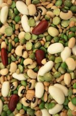 legumes_600.jpg legumes_600.jpg