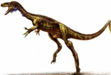 dinosauros.jpg dinosauros.jpg