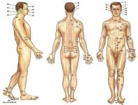 acupuncture.jpg
