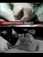 panama-creature-2.jpg panama-creature-2.jpg
