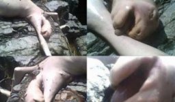 panama-creature-4.jpg panama-creature-4.jpg
