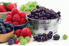 Bucket_Of_Berries-425x287.gif