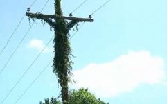 jesus-cable.jpg jesus-cable.jpg
