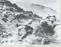 Ellinoitalikos.jpg Ellinoitalikos.jpg