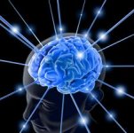 brain-light.jpg brain-light.jpg