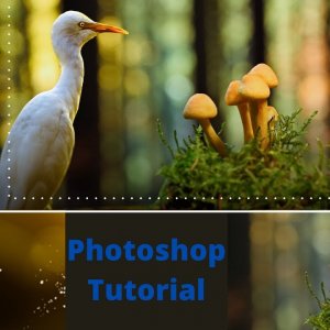 Photoshop Tutorial Πώς να κάνεις από δύο φωτογραφίες μία